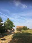 De Vanzare – Ferma de Pomi Fructiferi, 48,8 ha, Iancu Jianu, Jud. Olt