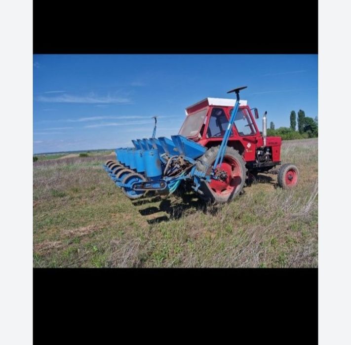 Cereale porumb Ceahlău