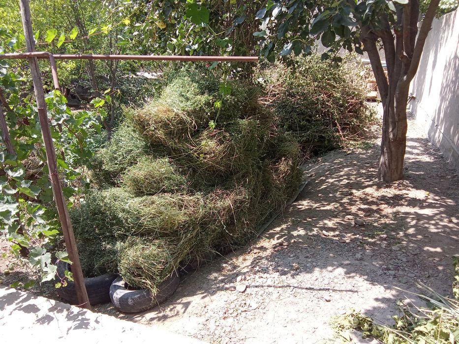 Beda sotiladi narxini kelishamiz somon press xam bor 40 dona