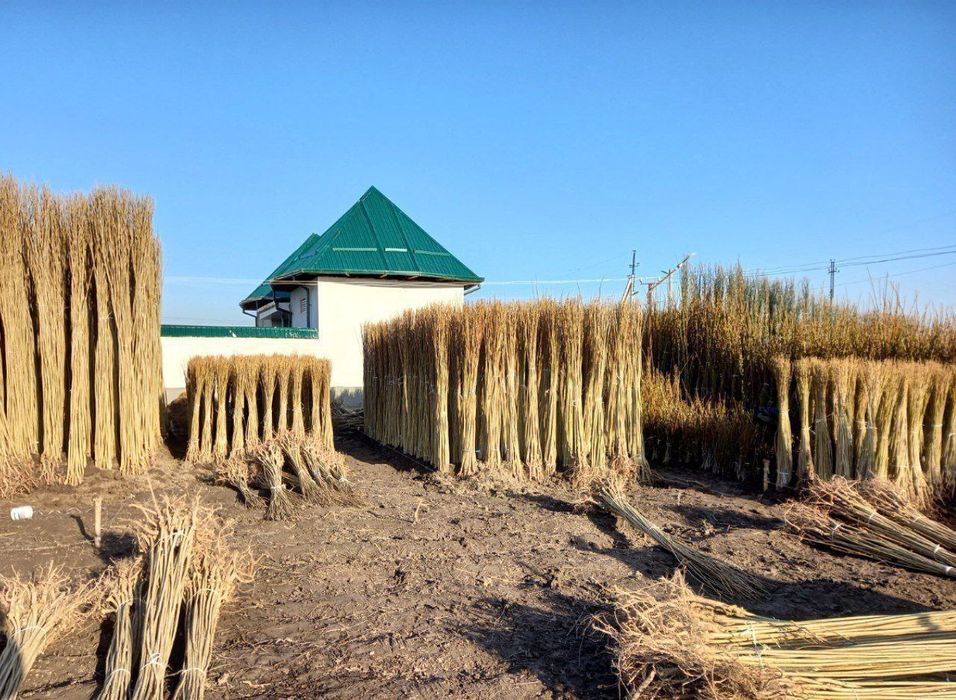 Теракт кочатлар сотувда