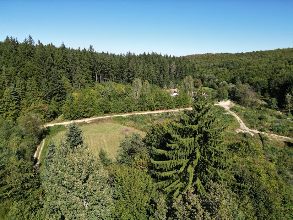 Teren Vulcan Intravilan 2000mp Poieniță Frumoasă lângă Lacuri