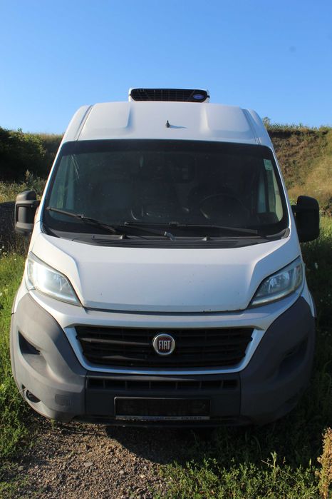 Fiat Ducato frigo