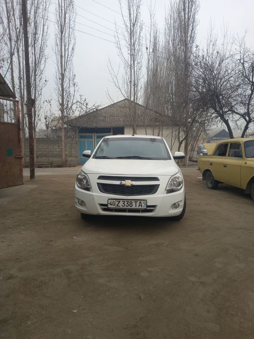 Coblt 2020 kraskasi tozza