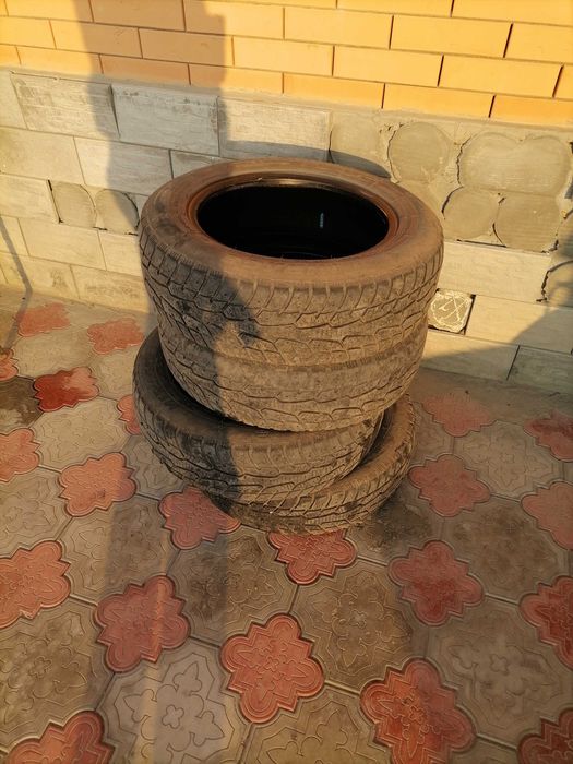 Покрышки безкамерные