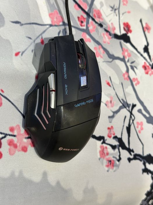 компьютерная мышка