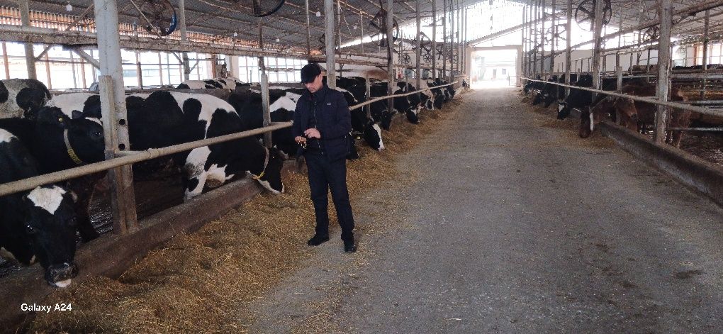 Veterinar xizmati
