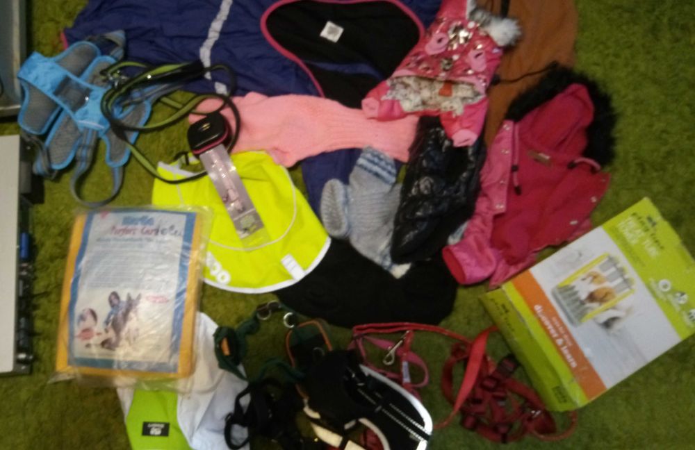 Hainute si accesorii caini si pisici