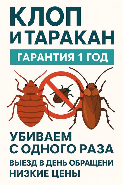 Быстрая дезинфекция от клопов, тараканов, блох — СЭС