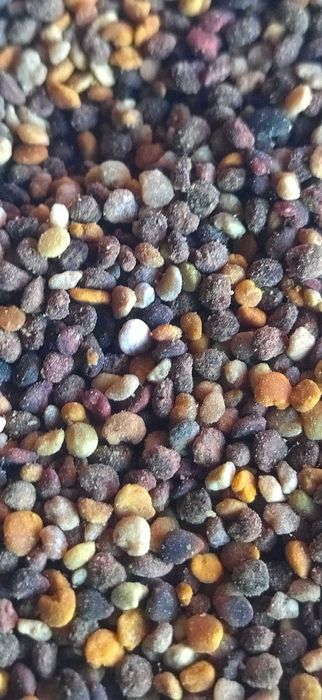 Vand Polen USCAT / CRUD , cantittai EN-DETAIl si EN-GROS