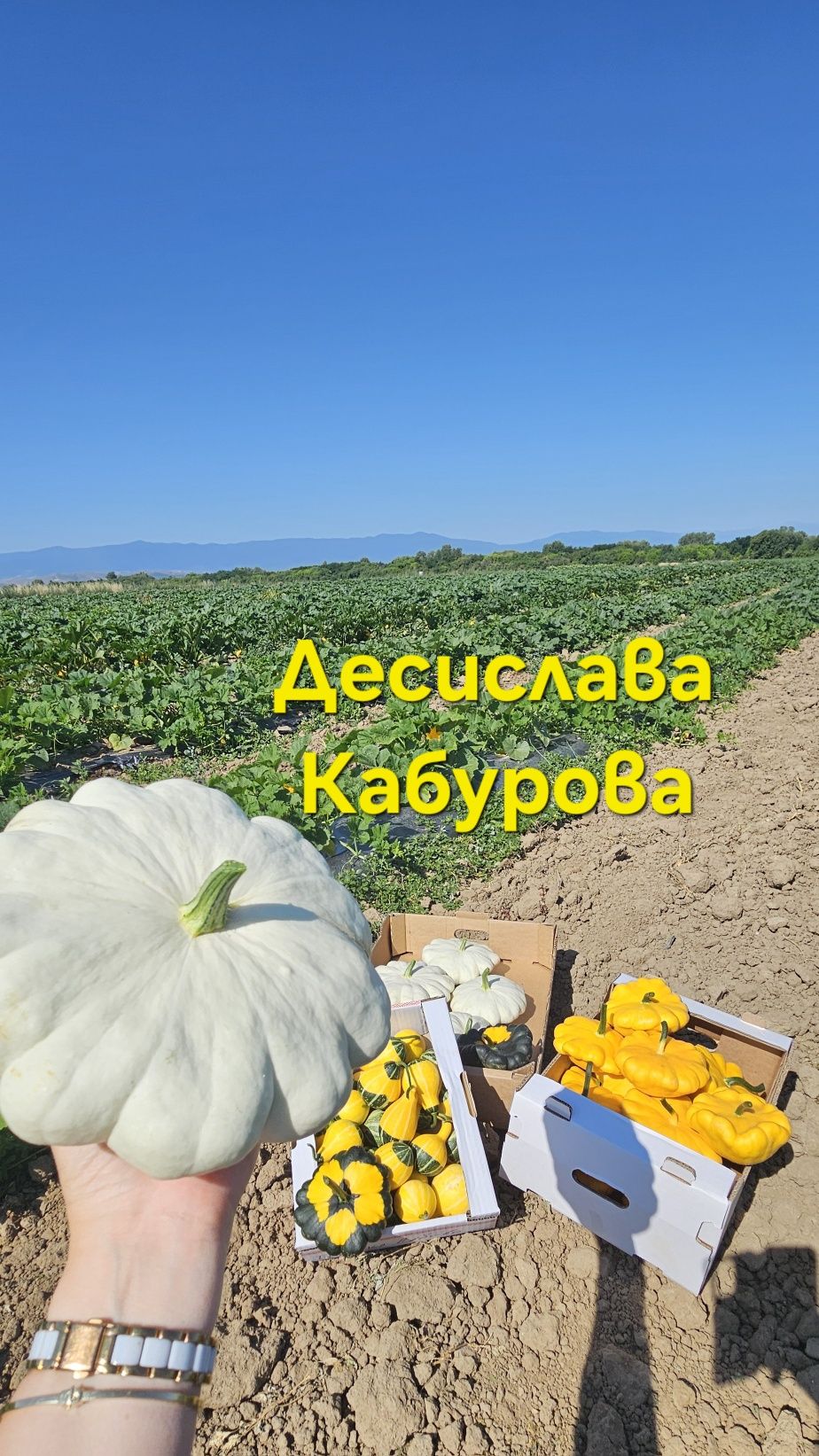 Тикви от с. Мало Конаре