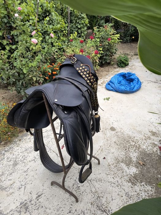 Vand şa pentru echitatie