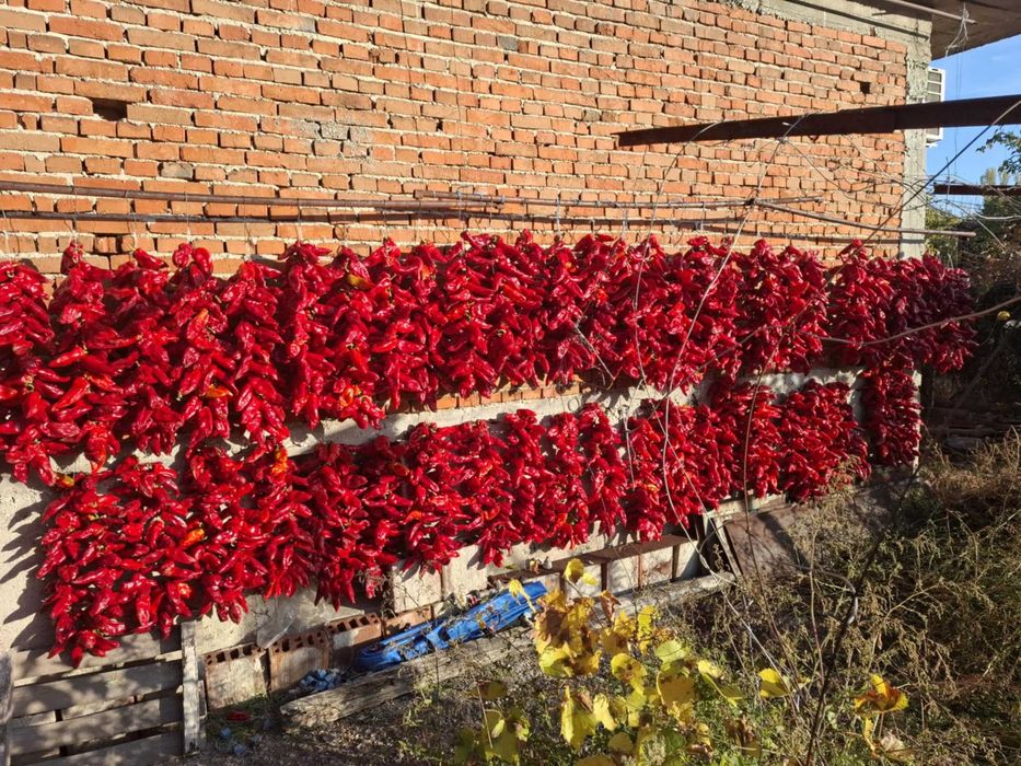 Сушени червени чушки – естествено изсушени