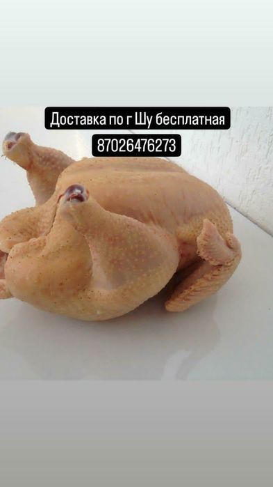 Домашние куры по 1800 за кг тушки весят 2кг
