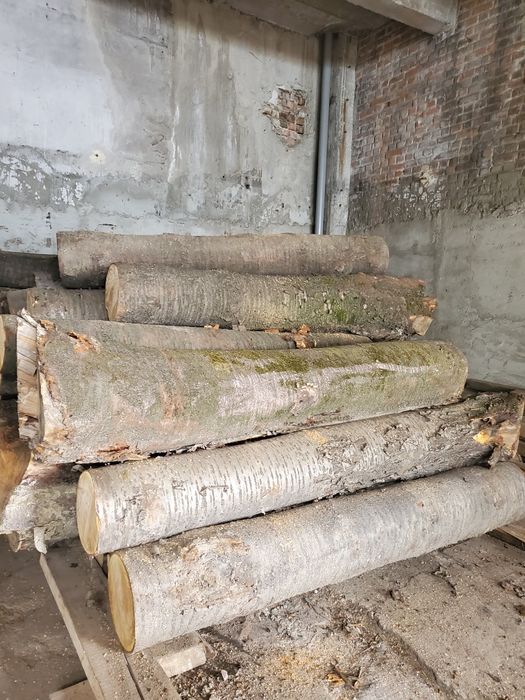 Cires cherestea uscata 8-10% netivita de 27 și 50