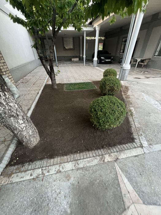 Archa kesish gazon orish gazon ekish fantanchik qilish gullar ekish