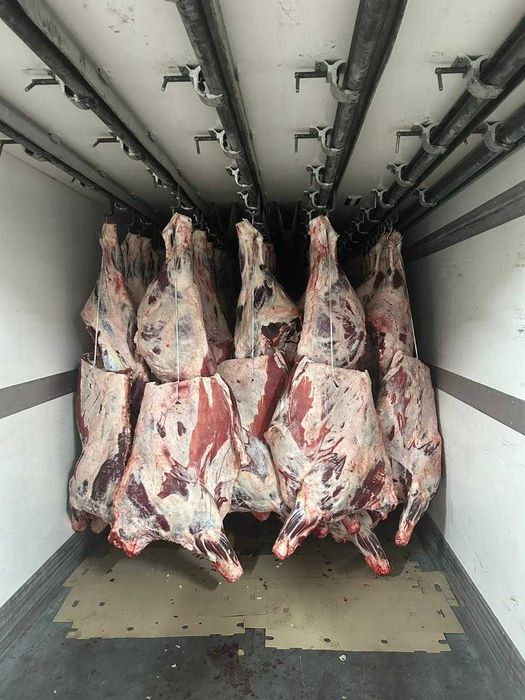 мясо говядины тушами оптом