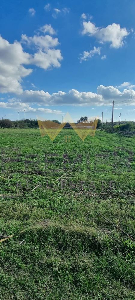 Продава се Парцел в с. Поручик Чунчево, Област Добрич - 4310 кв.м за 8 €/кв.м - Снимка #2