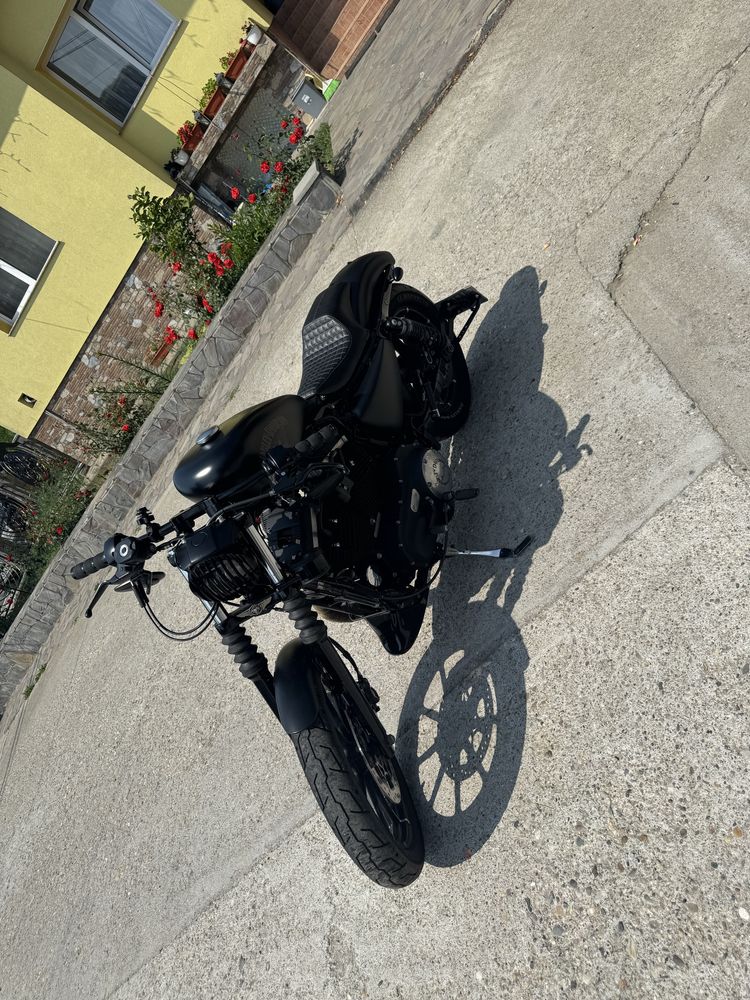 Harley Davidson xl883 Iron 16