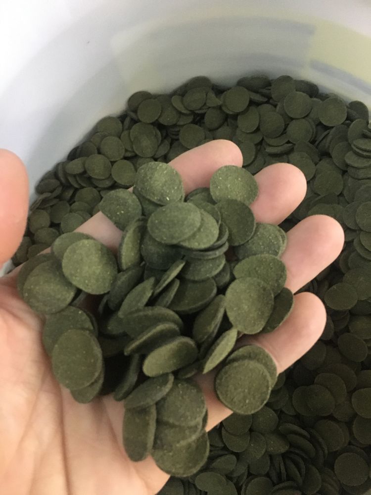 Spirulina-tablete sanitari