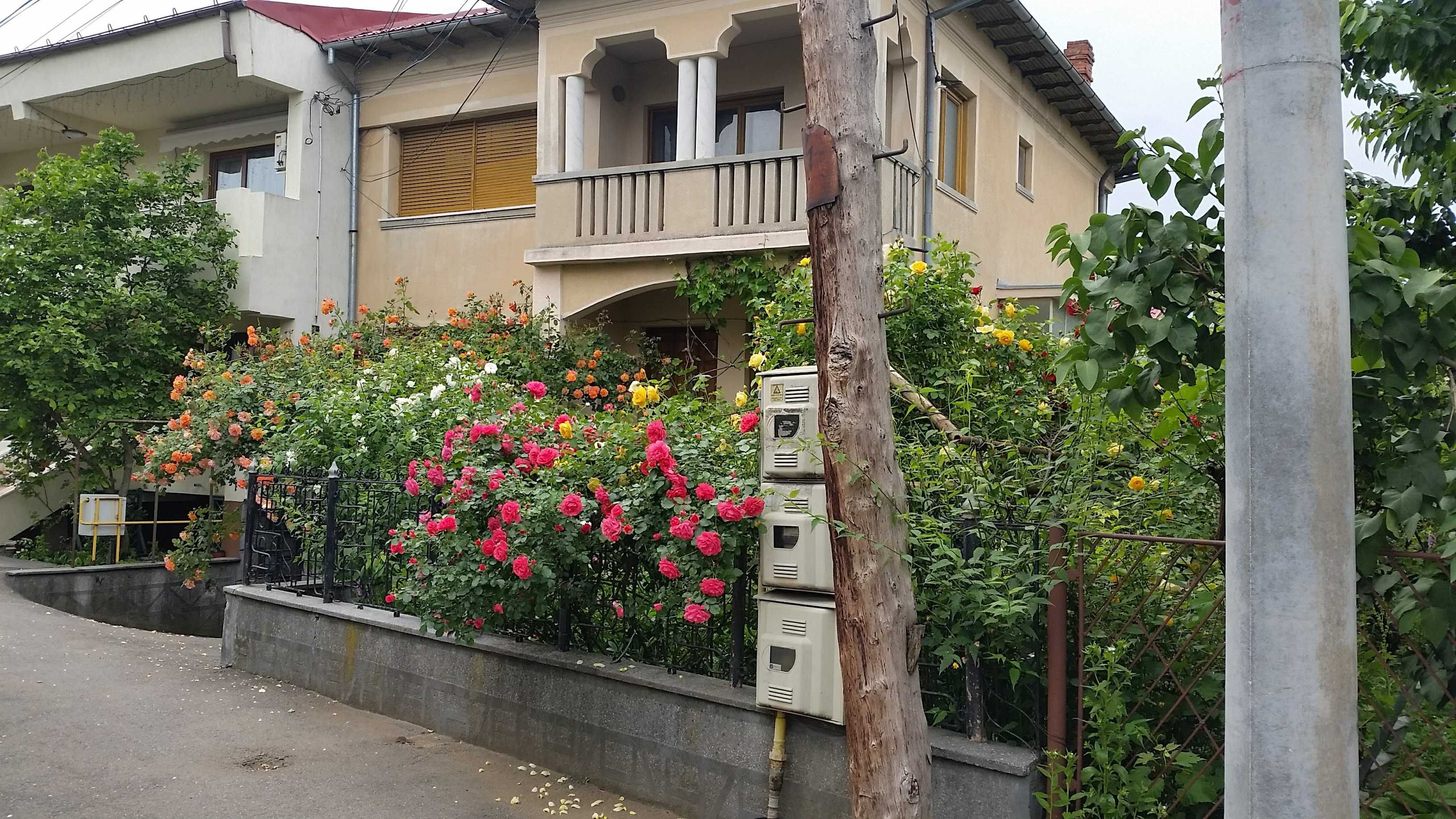 Casa D+P+E, Ultracentrala