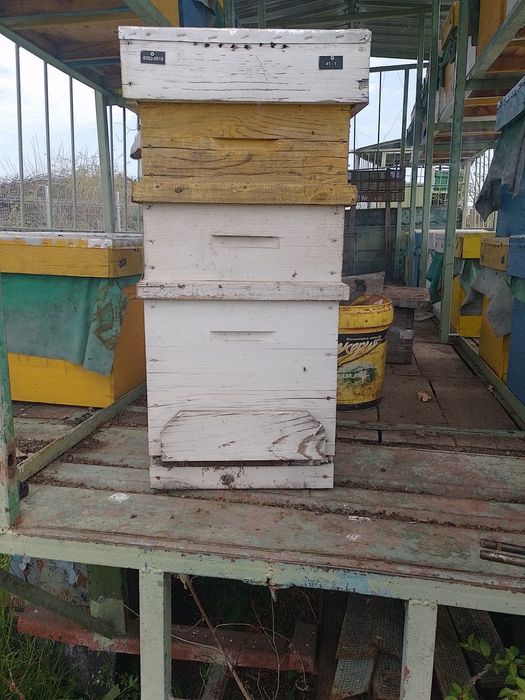 Пчелни празни кошери