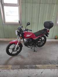 Moped Barton Fighter 49cc din 2022