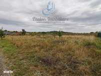 Teren drept 1260 mp, deschidere de 50 m, Loc. Dobreni, Jud Neamt