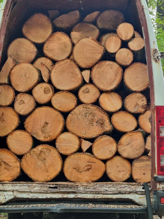 Vând lemne de foc esență tare 100%