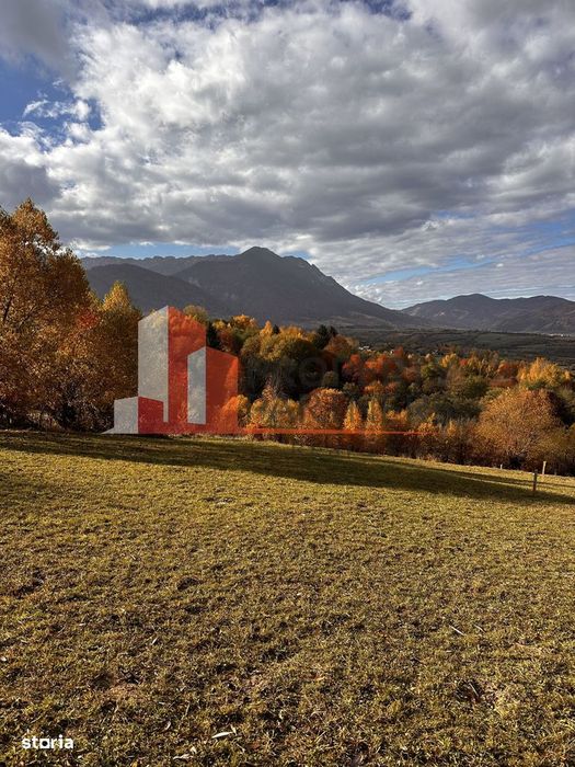 Teren Bran-Tohanita loturi intre 500/1000 mp