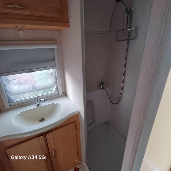 Rulota bailey 2002 pangeant neinmatriculata