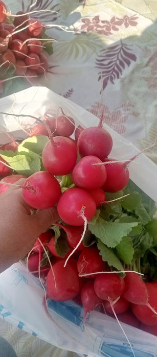 Продажа овощей..