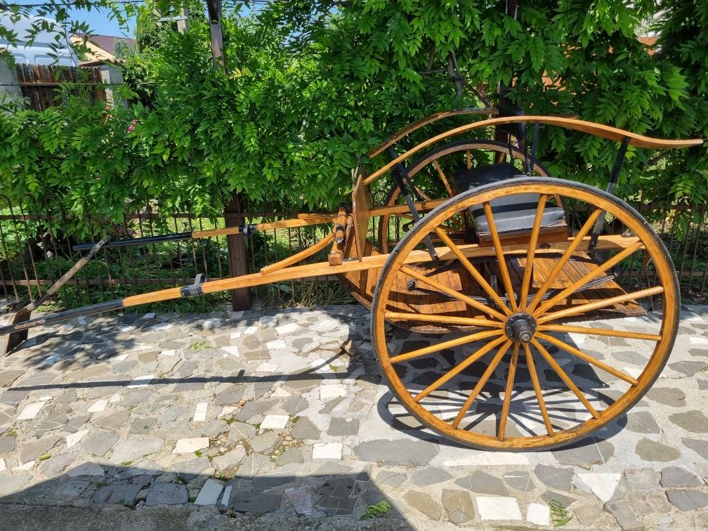 sarete pentru shetland, pony si cai mari