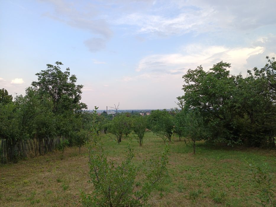 Curatenie in curti, Iarba, gazon...