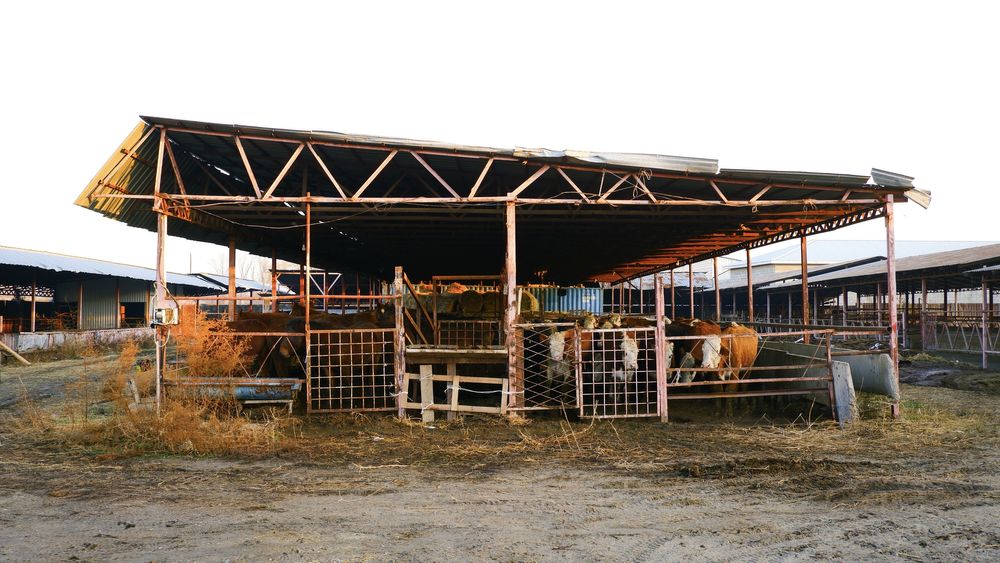 Продам готовый бизнес