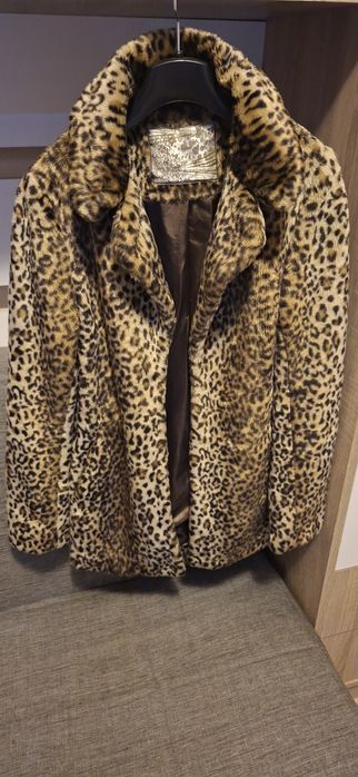 Palton leopard stare 10/10