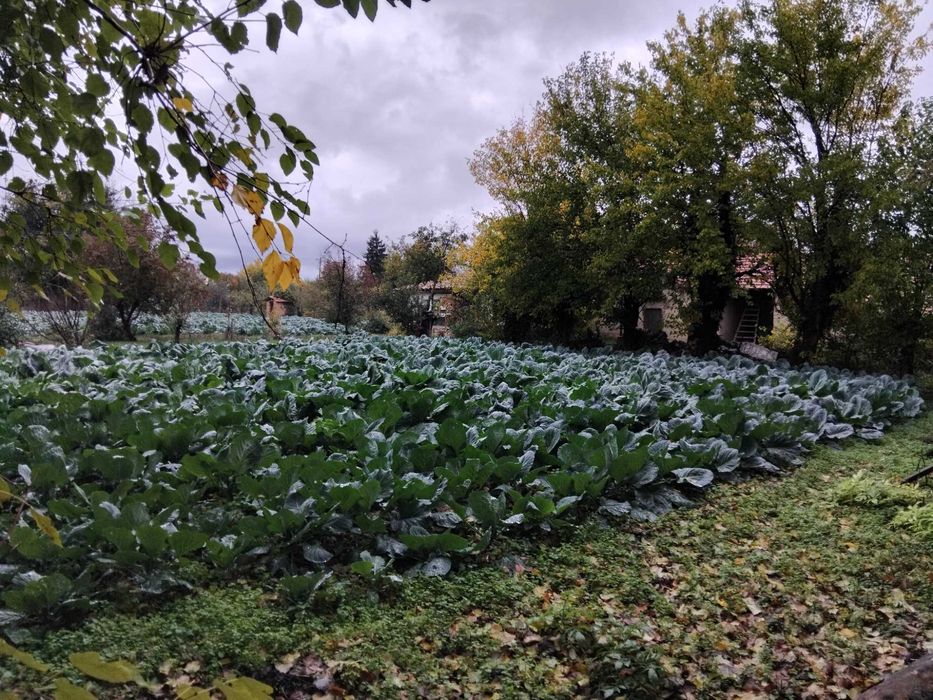 Продава се Къща в Варна, Левски - 100 кв.м за 500 €/кв.м - Снимка #16