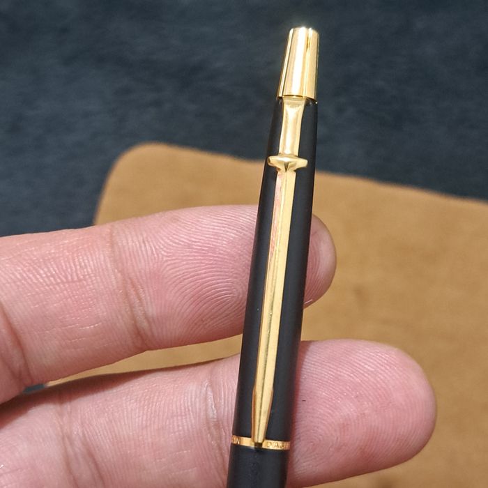 Pix Caran dachd swiss.