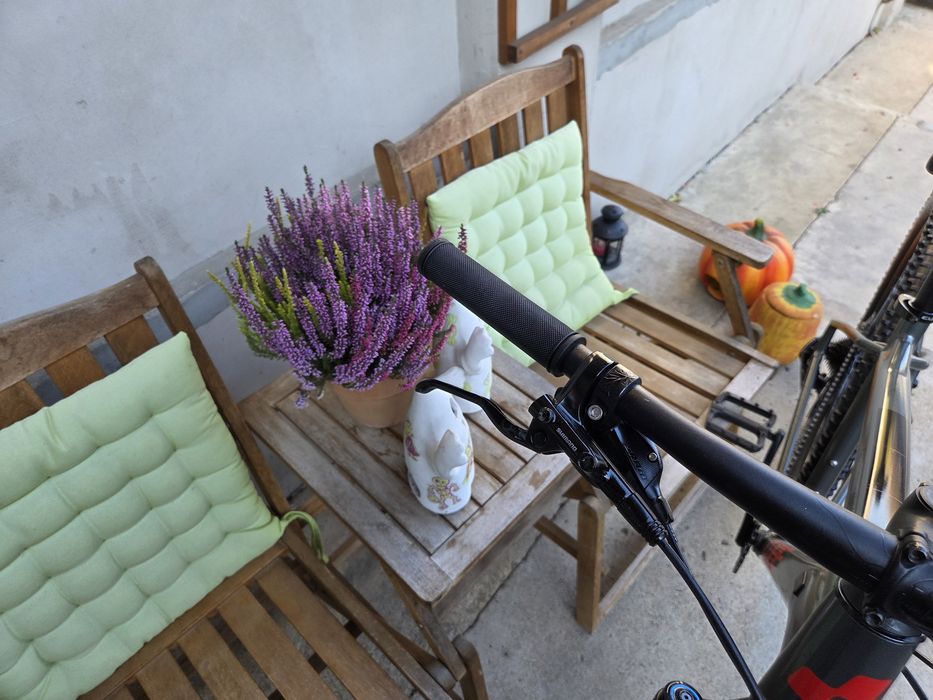 Bicicleta 29 Cube Analog 1x12