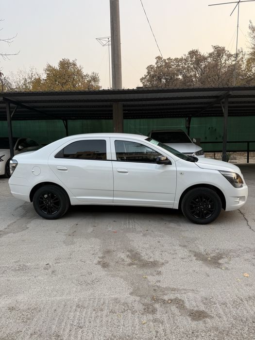 Cobalt Midnight MCM plus 25/26 Yengi