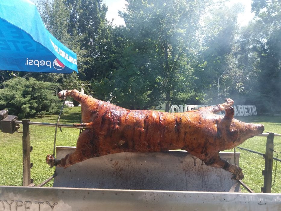 Proțap rotisor tucuri avem o gamă variată de aperitive și de produse