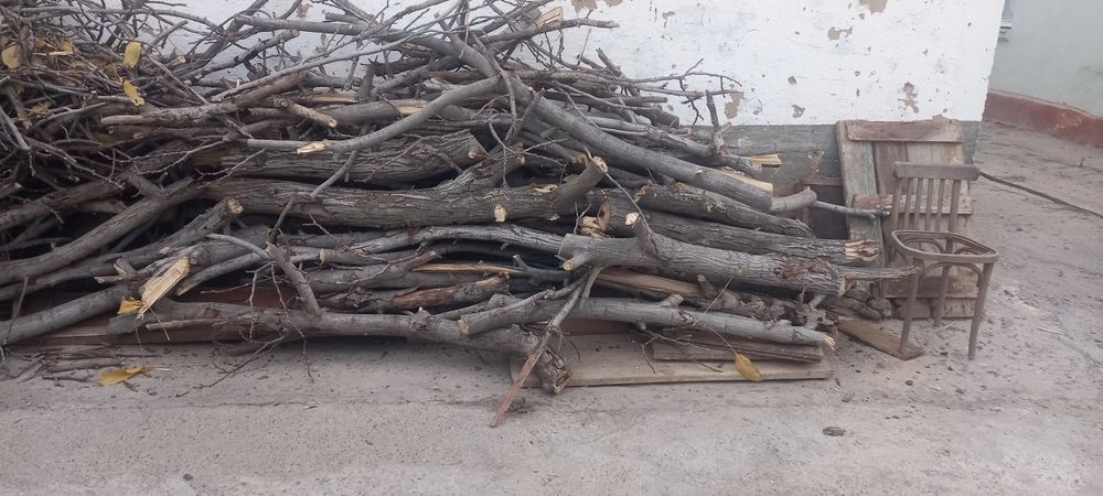 Продам дрова от орехового дерева и остальное