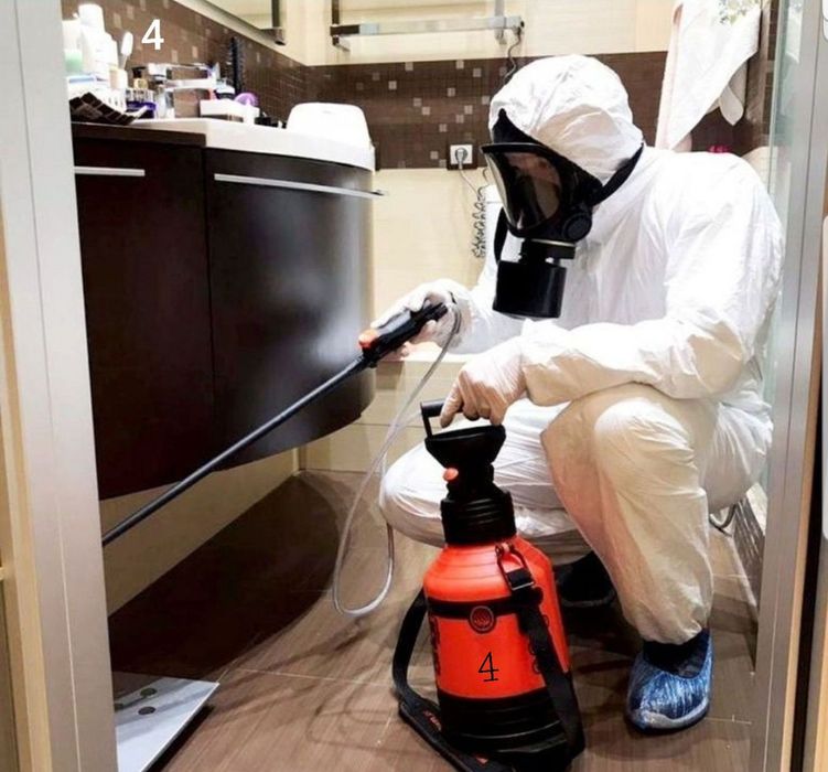 Обработка от клопов, тараканов, мышей, крыс и т.д.. Дезинфекция.