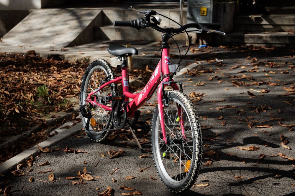Bicicleta roz MTB Princess 20"
