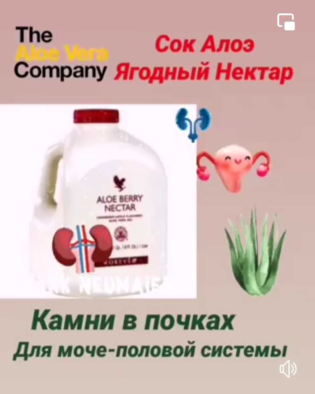 Алоэ Вера Форевер
