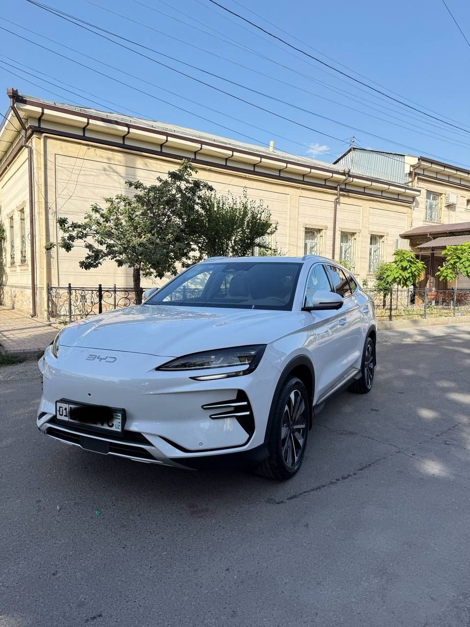 BYD Chempion 2024