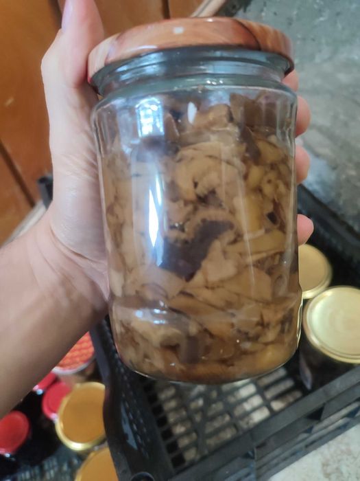 гъби буркани прясна замразена суха манатарка сърнела сладко консерва