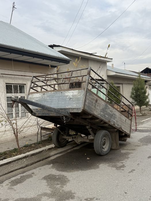 Pretsep Mol bozoriga qatnash uchun