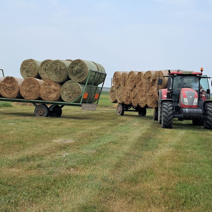 Baloti de fân rotunzi 120×120