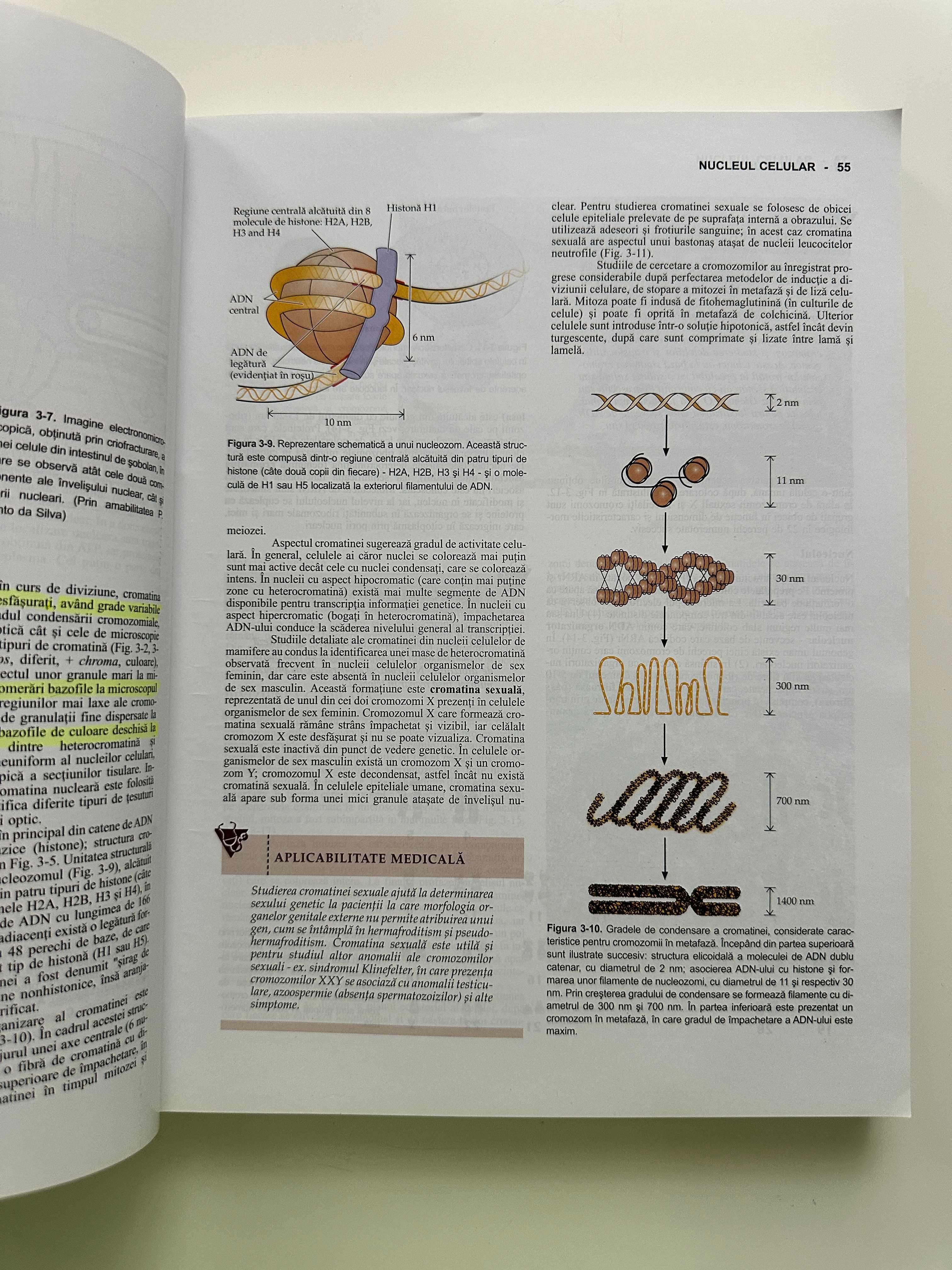Atlas si Tratat de Histologie  ed. 11 - Luiz Carlos Junqueira