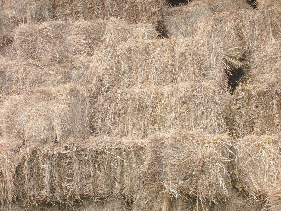 Fân super uscat pentru animale – 1000 bucăți!